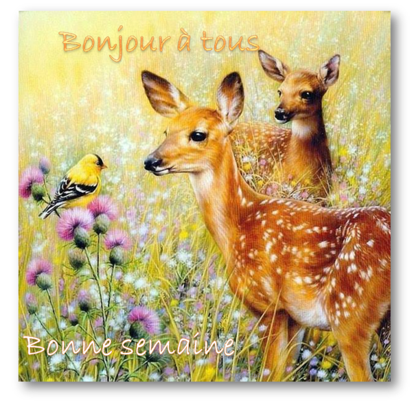 Image du Blog cabschau.centerblog.net