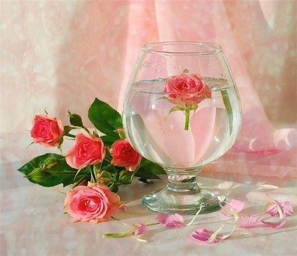 UN VASE ET DES FLEURS