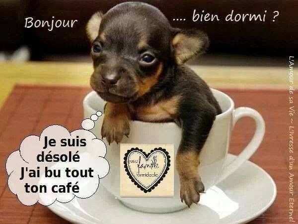 IL ETAIT BON LE CAFE