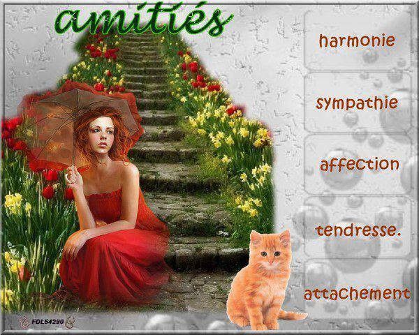 AMITIES