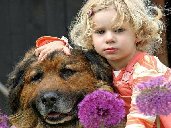 LA FILLETTE ET SON CHIEN