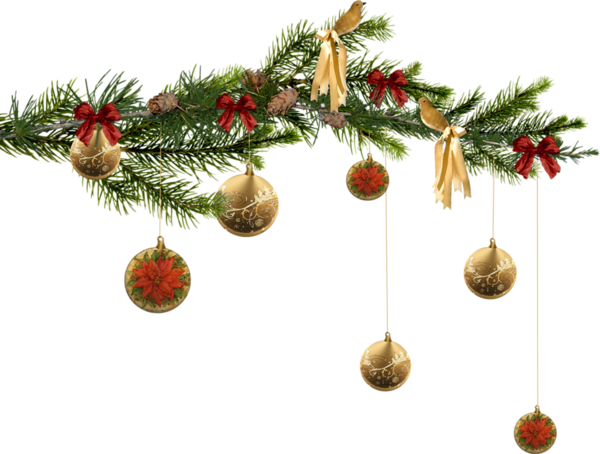 Branche Sapin Dessin - Vecteur Clipart de sapin, arbre, branche