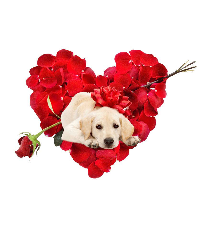 Image du Blog cabschau.centerblog.net