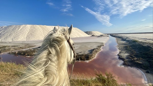 ENTRE  LE SEL ET LE CIEL
