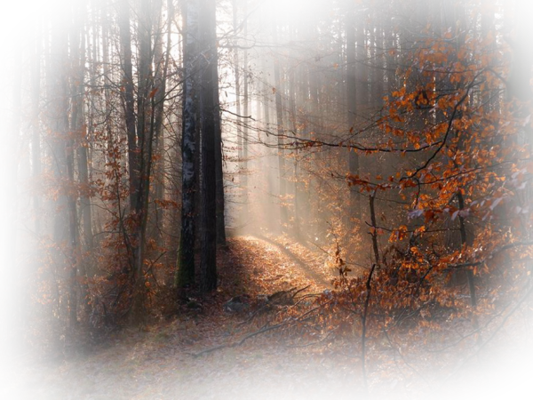 LA OFICINA EN OTOÑO