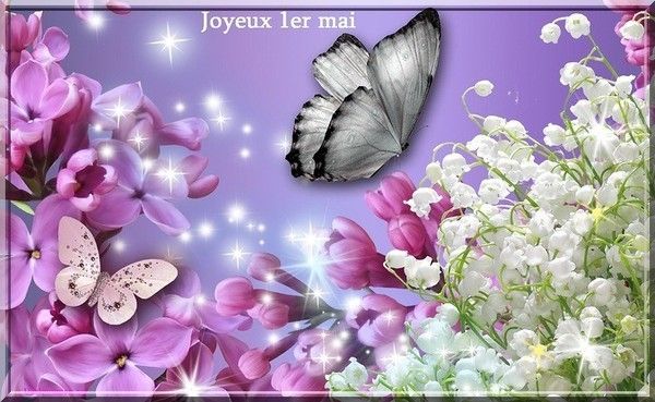 LES PAPILLONS