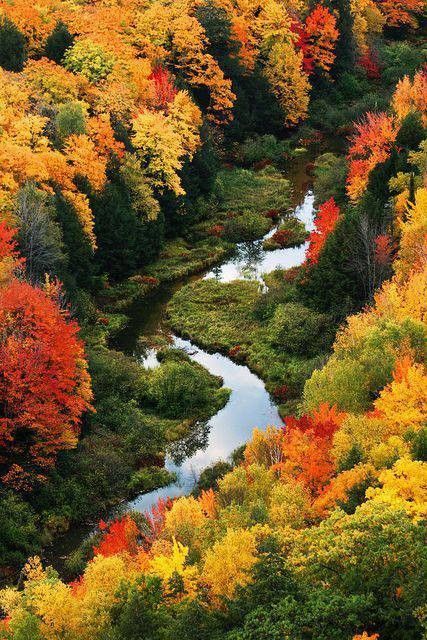 Rivière automnale main image 0