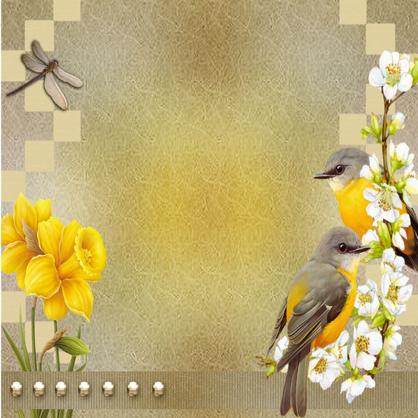 Trois jolis petits oiseaux - Coloriages d'Oiseaux à imprimer