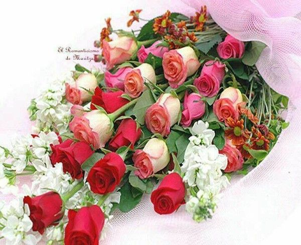 LE BEAU BOUQUET
