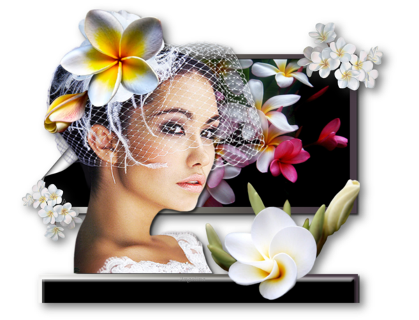 FLEURS DES ILES