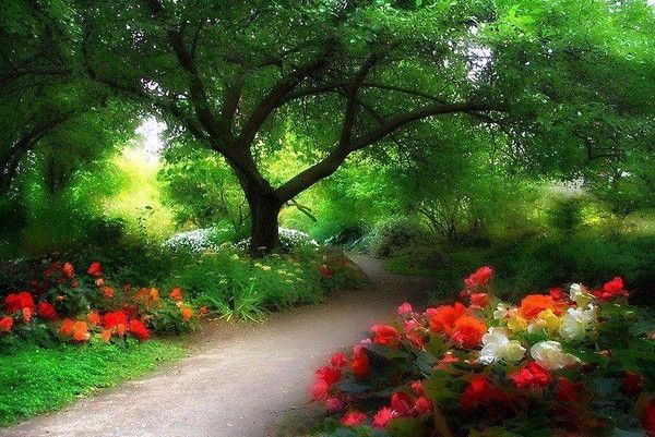 LA NATURE S'&Eacute;VEILLE AU PRINTEMPS