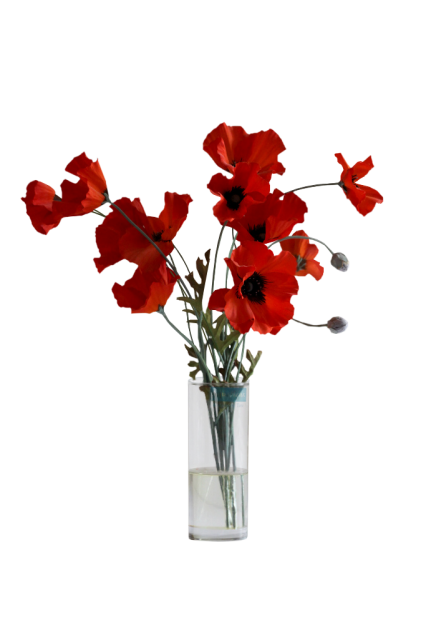 UN VASE ET DES FLEURS