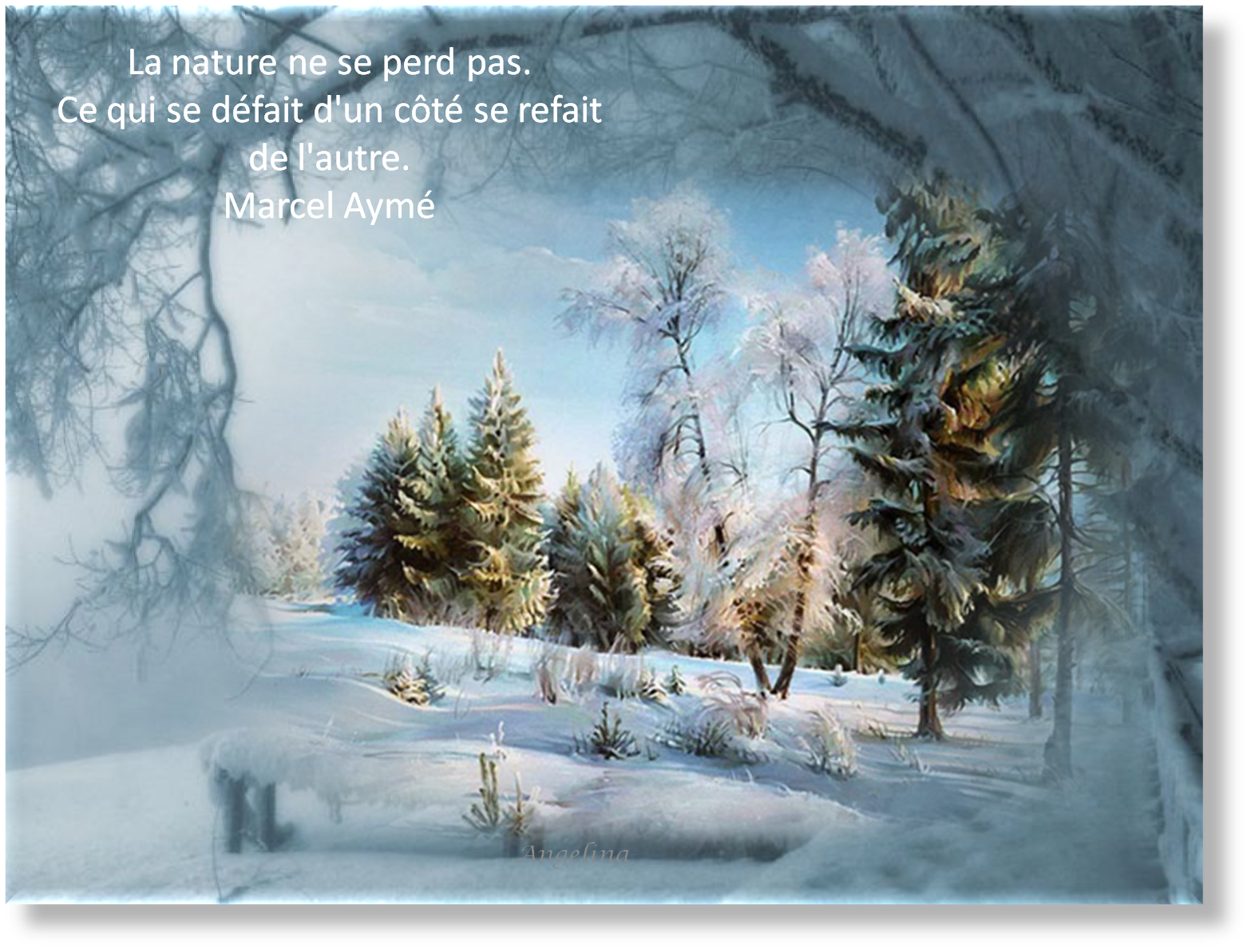 cabschau - Page 375