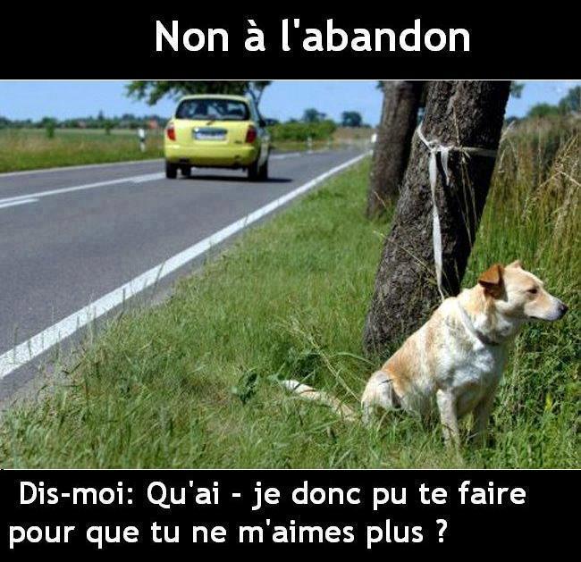 UN ABANDON