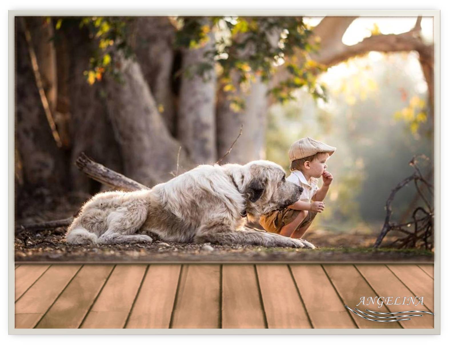 Le Petit Gar On Et Son Chien