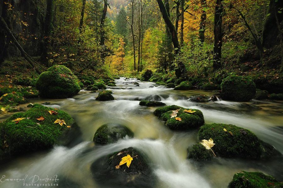Rivière automnale